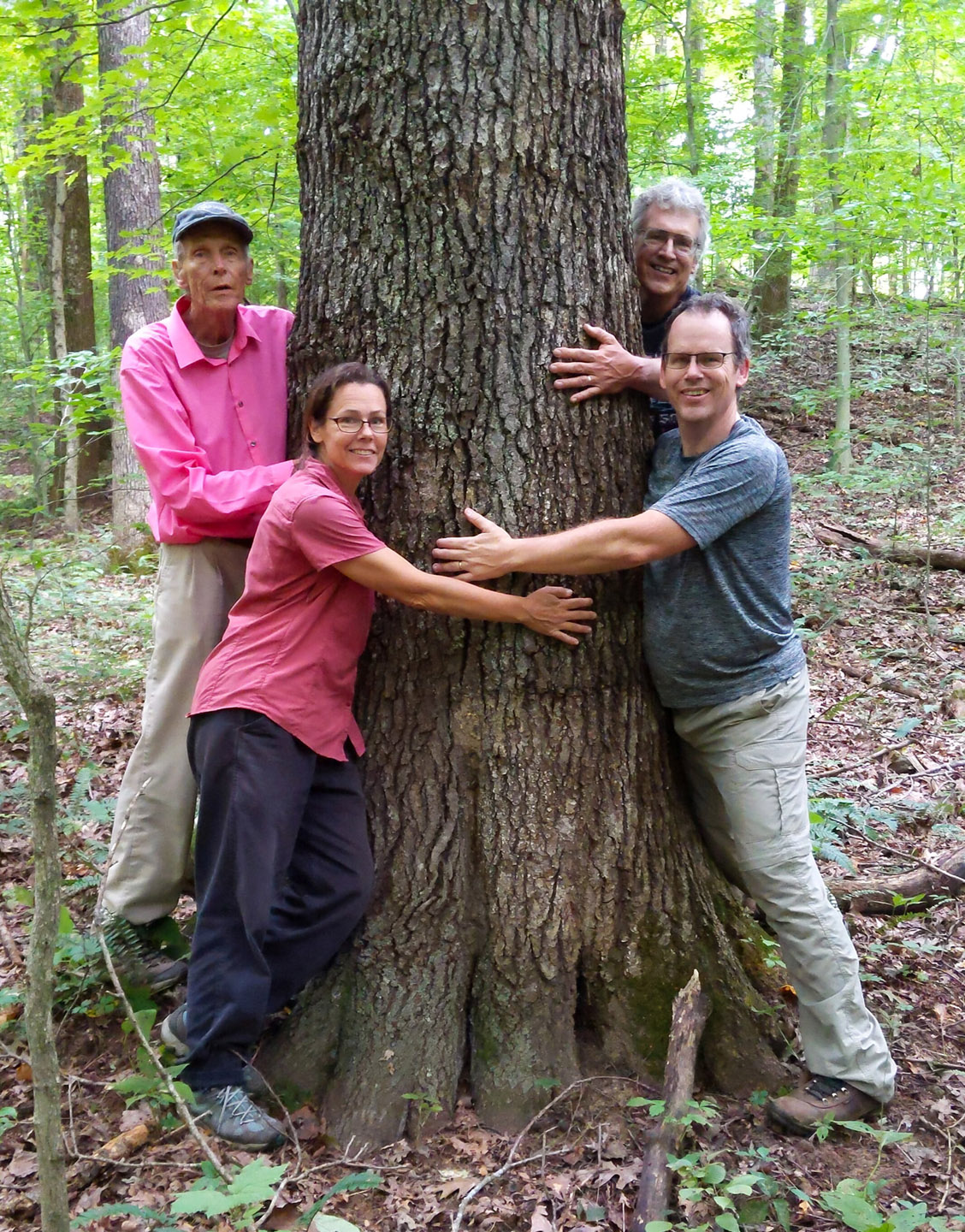 Tree Huggers - Fisk Forest